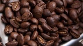 Projeto prevê subvenção a produtores e cooperativas na comercialização de café