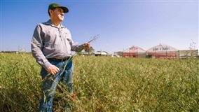 RS: Expoagro Afubra retorna daqui a meio ano
