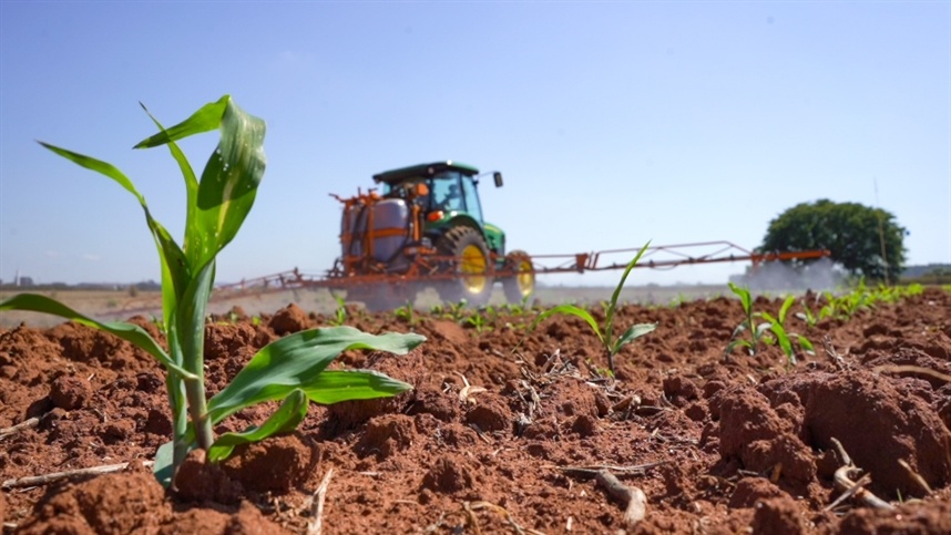 AGROLINK  O Portal do conteúdo Agropecuário. Confira: Noticias