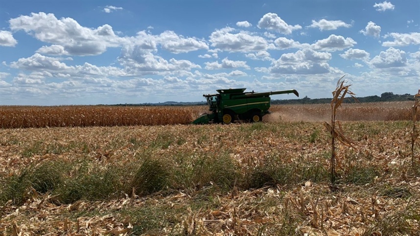 Estiagem preocupa produtores do RS e ameaça culturas de verão, alerta FecoAgro/RS