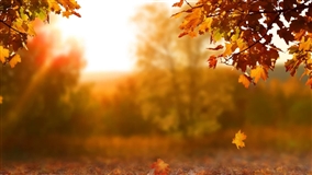 Abril traz mudanças no clima em todas as regiões do Brasil