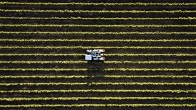 Mercado de fertilizantes especiais avança 7,7%