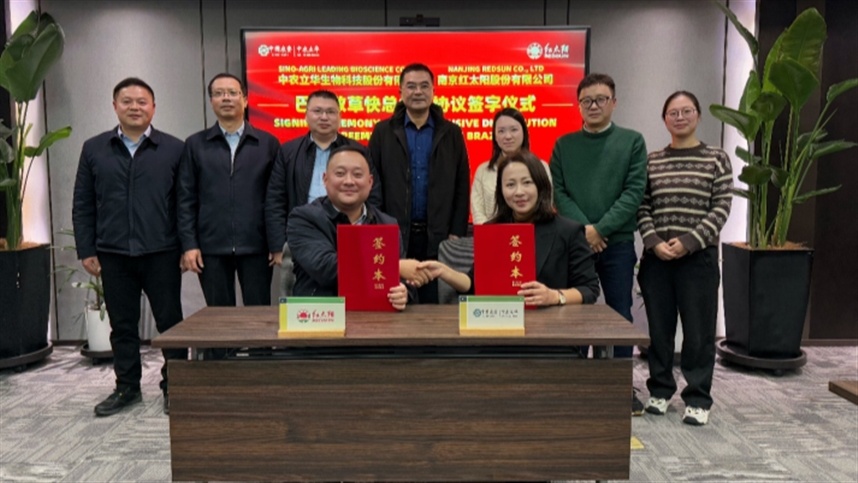 O Brasil, como importante mercado para agroquímicos globais, tem apresentado um aumento significativo em seu valor de mercado