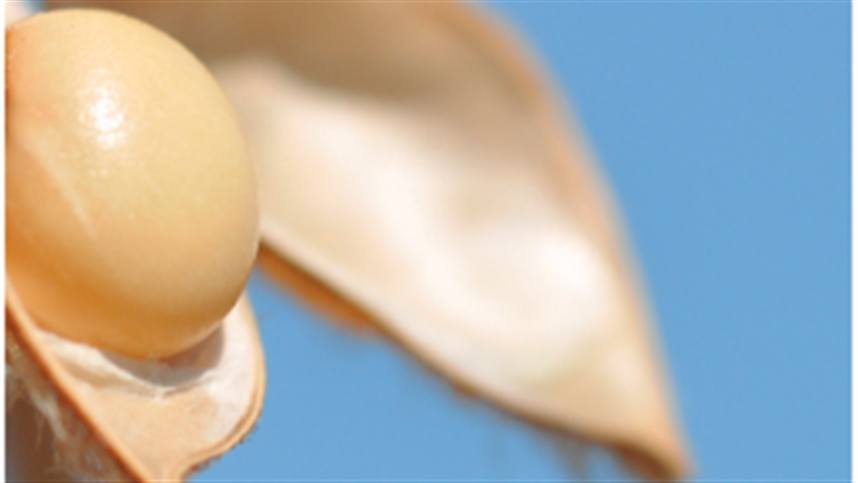 Custos de produção são atualizados