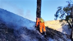 Prevenção e combate a incêndios em Minas 