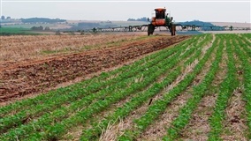 Venda de glifosato sobe na França, mesmo com esforço contra