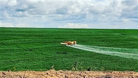 MA: vírus X agricultura