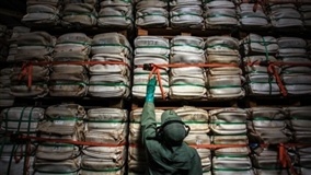 Produção de pesticidas na China se recupera 88%