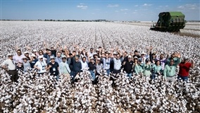Cotton Brazil Dialogues destaca inovação no algodão