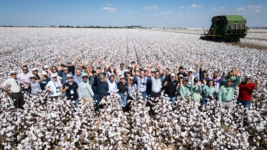 Cotton Brazil Dialogues destaca inovação no algodão