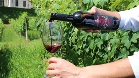 Vinhos de Inverno