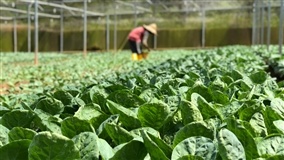 Nordeste terá extensão rural digital
