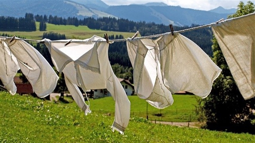 Como alternativa, o algodão se destaca