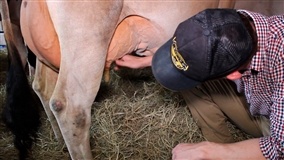 Começa o Torneio Leiteiro do Circuito Megaleite 