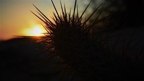 RS: semana terá temperaturas máximas em elevação