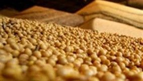 Programa Soja Plus tem inicio na Bahia