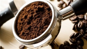 CAFÉ/CEPEA: negócios chegam a 75% da safra