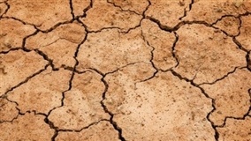 Sistema argentino é capaz de alertar sobre seca