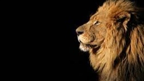 Prazo e novidades do IRPF 2026 para o produtor rural