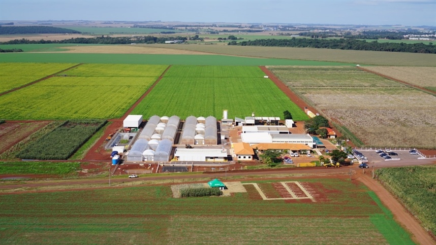 Anúncio da Corteva coloca em xeque futuro do clorpirifós :: Repórter Agro