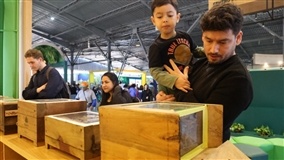 Expointer: abelhas nativas despertam curiosidade do público