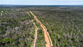 Regras atualizadas para aceiros no Pantanal