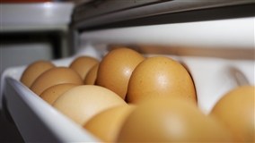 Baixa oferta no mercado interno eleva cotações de ovos