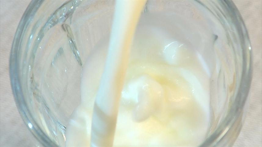 Projeto de leite movimenta economia da região central do PR