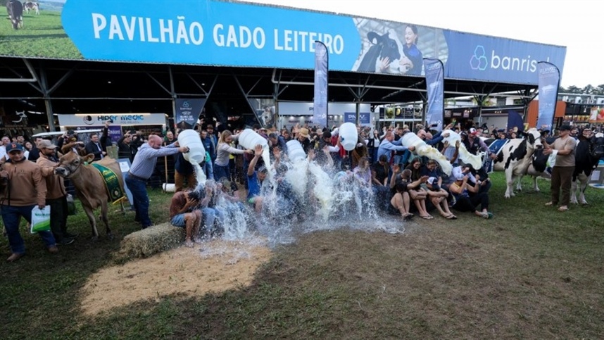 Banho de leite: veja quem venceu a competição na Expointer