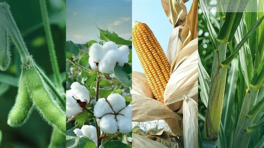 Tecnologia global para os desafios do campo