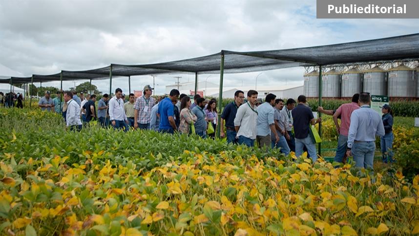 Diga sim para a melhor safra da sua vida com a Conceito Sementes
