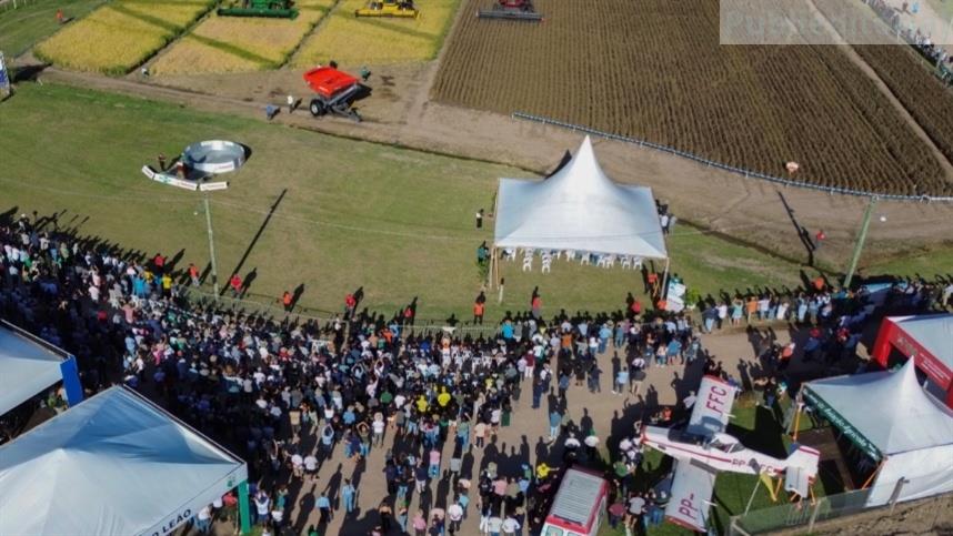 Colheita do Arroz conecta campo e mercado