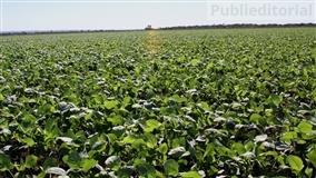 RS: Garibaldi cria programa voltado aos agricultores