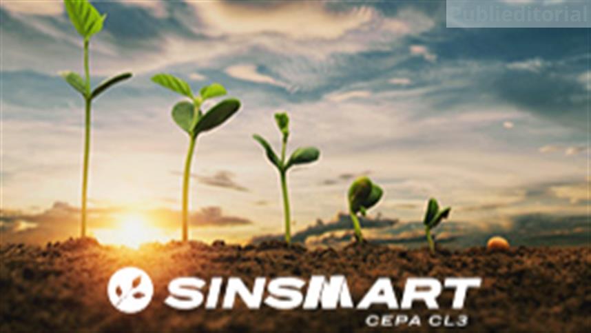 Sinsmart cepa CL3: biotecnologia de Taiwan eleva produtividade da soja