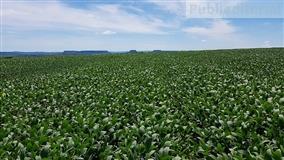 AgrolinkFito