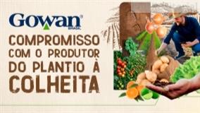 Soluções exclusivas