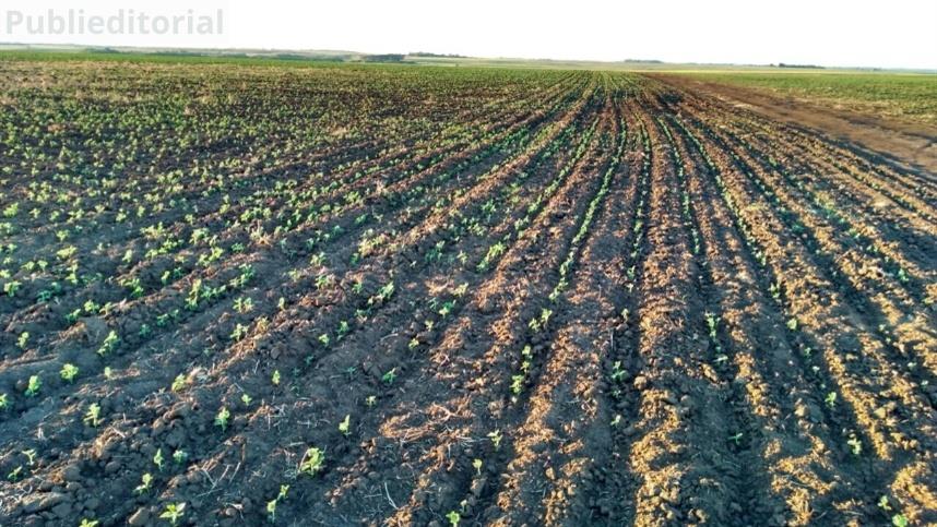 Aceleração de Startups do agro é tema do webinar